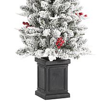 4ft Pre-Lit Flocked Christmas Porch Tree with LED Lights