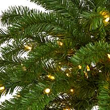5 ft. Christmas Palm Artificial Tree with 150 Warm White LED Lights