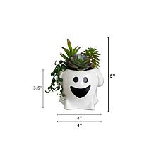 5-in Succulent Garden -Set of 2 by Nearly Natural