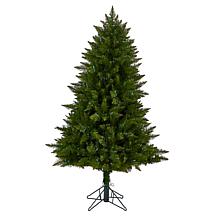 5’ Vermont Spruce  Christmas Tree with 250 Color Lights