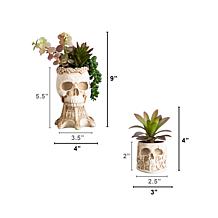 5.5-in and 9-in Succulent Garden - Set of 2 by Nearly Natural