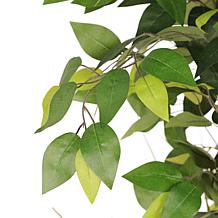 6 ft. Artificial Ficus Microcarpa Tree with White Decorative Pot
