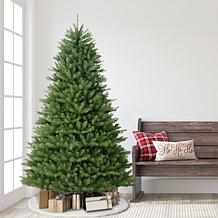7' Franklin Fir Artificial Unlit Christmas Tree