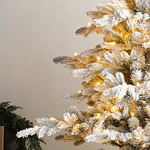 9ft Pre-Lit Flocked Full Fir Christmas Tree with Warm White Lights
