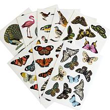 Anna Griffin Birds & Butterfly Rub On