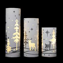 "As Is" august & leo Set of 3 Holiday Lanterns with LED Fairy Lights
