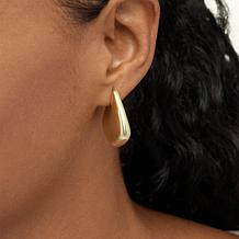 "As Is" Bellezza Bronze Polished "Kite" Earrings