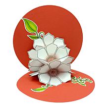 "As Is" Diamond Press Heart Flowers Stamp and Die Pop-Up Card Kit