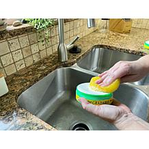 "As Is" Earth Brite All-Purpose 600gm (21oz.) Cleaning Kit 