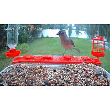 "As Is" Improvements Solar Powered Smart Birdfeeder With Camera