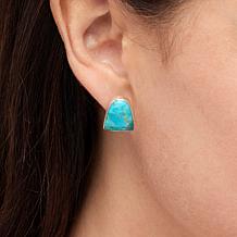 "As Is" Jay King Heavenly Well Lake Turquoise Stud Earrings