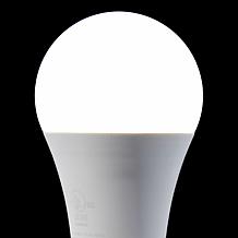 "As Is" Living Glow Dusk to Dawn 4-pack LED Bulbs