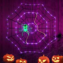 "As Is" Mr. Halloween 48" Purple/Green Animated LED Spider Web