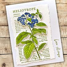 "As Is" Stamps by Me Vintage Script Floral Stamps and Dies - Set of 2