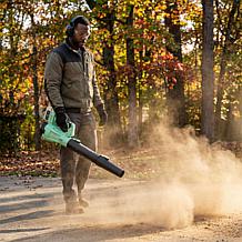 "As Is" Sun Joe Go 20V Garden Blower with Variable Speed
