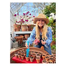 "As Is" Tower Hill by Christie Brinkley Solar Light Bird Feeder