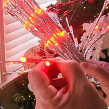 "As Is" Winter Lane 18" Bendable LED Sparkler with Remote