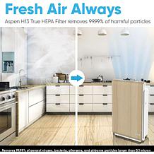 Aspen Smart Air Purifier