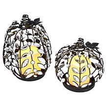 august & leo Set of 2 Jeweled Pumpkins w/Flameless Candles