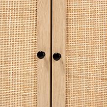 Baxton Studio Declan Mid Century Wood 2 Door Storage Cabinet