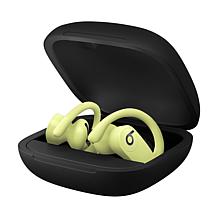 Beats Powerbeats Pro Truly Wireless Earbuds