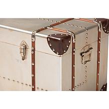 Bechet Metal Storage Trunk