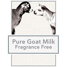 Beekman 1802 2-pack Pure Goat Milk Bar Soap