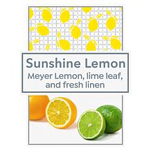 Beekman 1802 G.O.A.T. 4-Piece Hand Care Gift Set - Sunshine Lemon