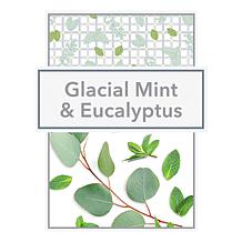 Beekman 1802 Goat Milk Glacial Mint & Eucalyptus Face Wipes 4-pack
