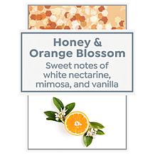 Beekman 1802 Goat Milk Honey Orange Blossom Milkshake Body Mist