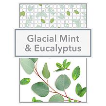 Beekman 1802 Goat Milk Mint & Eucalyptus Whipped Body Cream 2-pack