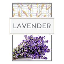 Beekman 1802 Goat Milk Whipped Body Cream Duo - Lavender