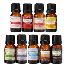 https://i04.hsncdn.com/is/image/HomeShoppingNetwork/prodgrid/beekman-1802-happy-place-9-piece-essential-oil-holiday--d-20230907090952043~842179.jpg