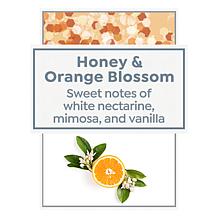 Beekman 1802 Honey and Orange Blossoms Goat Milk Lip Balm