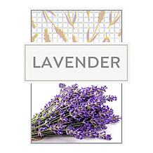 Beekman 1802 Lavender Goat Milk Hand Cream 2-pack