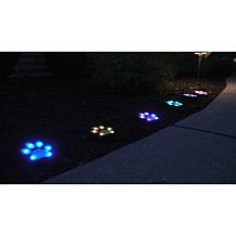 Bell + Howell Color-Changing and White Solar Paw Lights - 6-pack