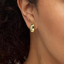 Bellezza Bronze Polished Bottoms Up Mini Teardrop Earrings