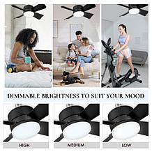 Bell+Howell 5-Speed Socket Ceiling Fan and Light