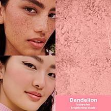 Benefit Cosmetics Dandelion Baby Pink Mini Blush