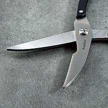 Berghoff DiNA Gene Stainless Steel Poultry Shears, 10"
