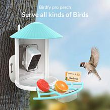 Birdfy 4-in-1 Bird Perch