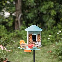 BIRDFY AI Auto Capture Motion Detection Solar Powered Bird Feeder