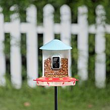 BIRDFY AI Auto Capture Motion Detection Solar Powered Bird Feeder