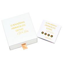 Canadian Ammolite Gems Sterling Silver Multigemstone Flower Earrings