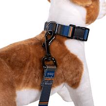 Carolina Pet Pendleton Olympic National Park Adventure Leash