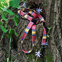 Carolina Pet Pendleton Zion National Park Adventure Dog Collar
