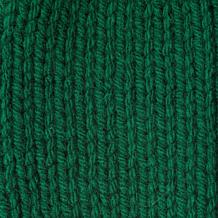 Caron One Pound Yarn-Kelly Green