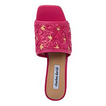 Charles by Charles David Raffi Woven Slide Sandal