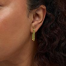 Colleen Lopez Gemstone Inside-Outside Rectangular Hoop Earrings