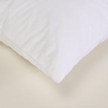 Concierge Collection 2-Pack Nano Feather Cotton Face Pillows Jumbo